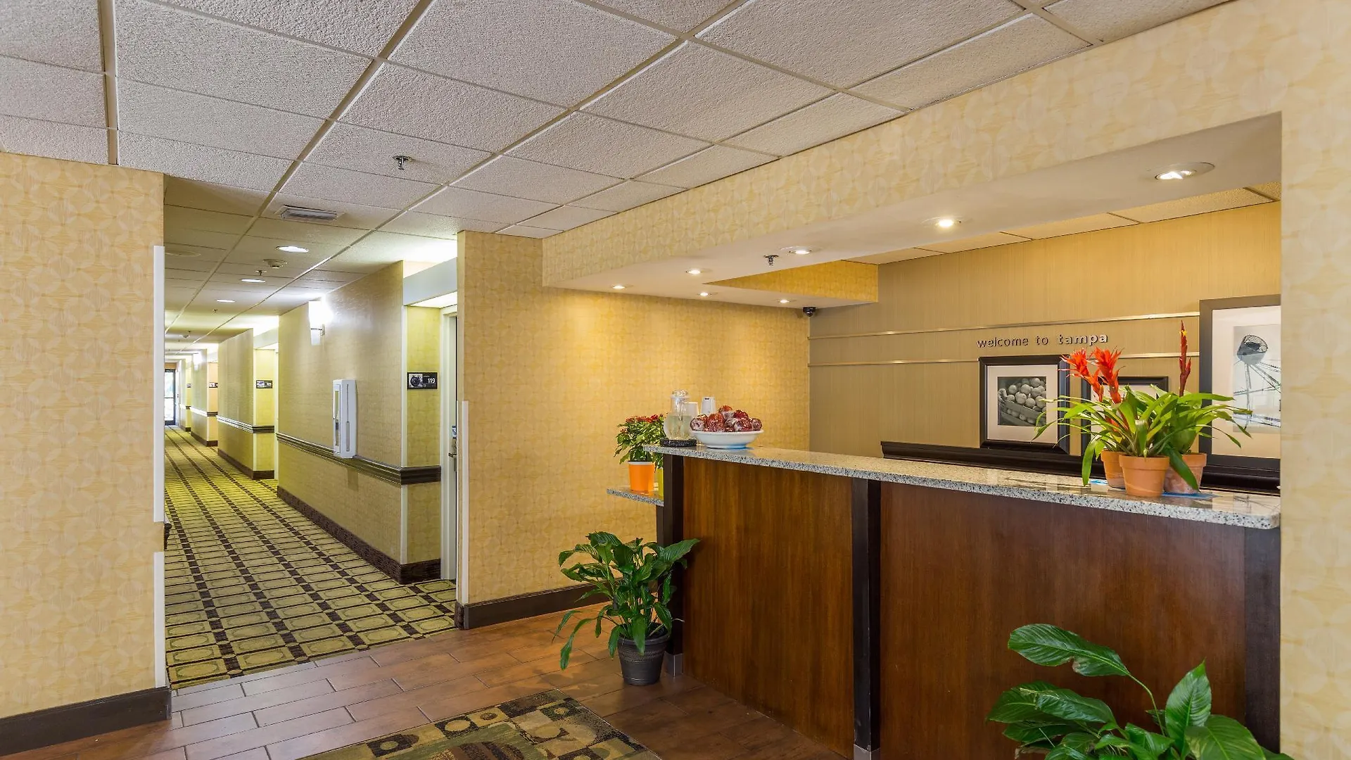 Hotel Spark By Hilton Tampa Brandon