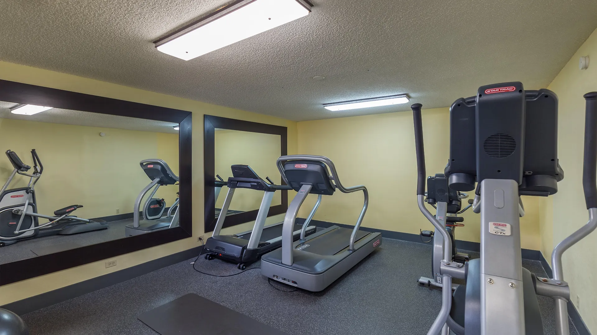 Hotel Spark By Hilton Tampa Brandon